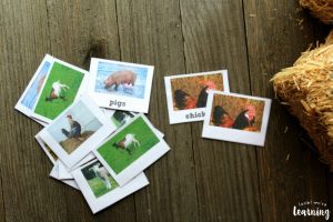 Printable Farm Animal Flashcards for Kids