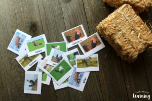 Printable Farm Animal Identification Flashcards