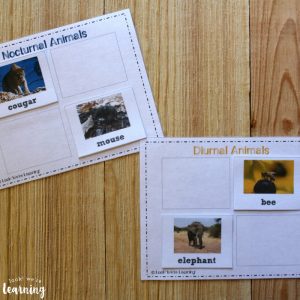 Printable Nocturnal Animal Sorting Activity