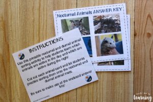Printable Nocturnal and Diurnal Animal Sorting Activity