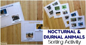 Printable Nocturnal and Diurnal Animals Sorting Activity for Kids