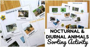 Simple Nocturnal and Diurnal Animals Sorting Activity