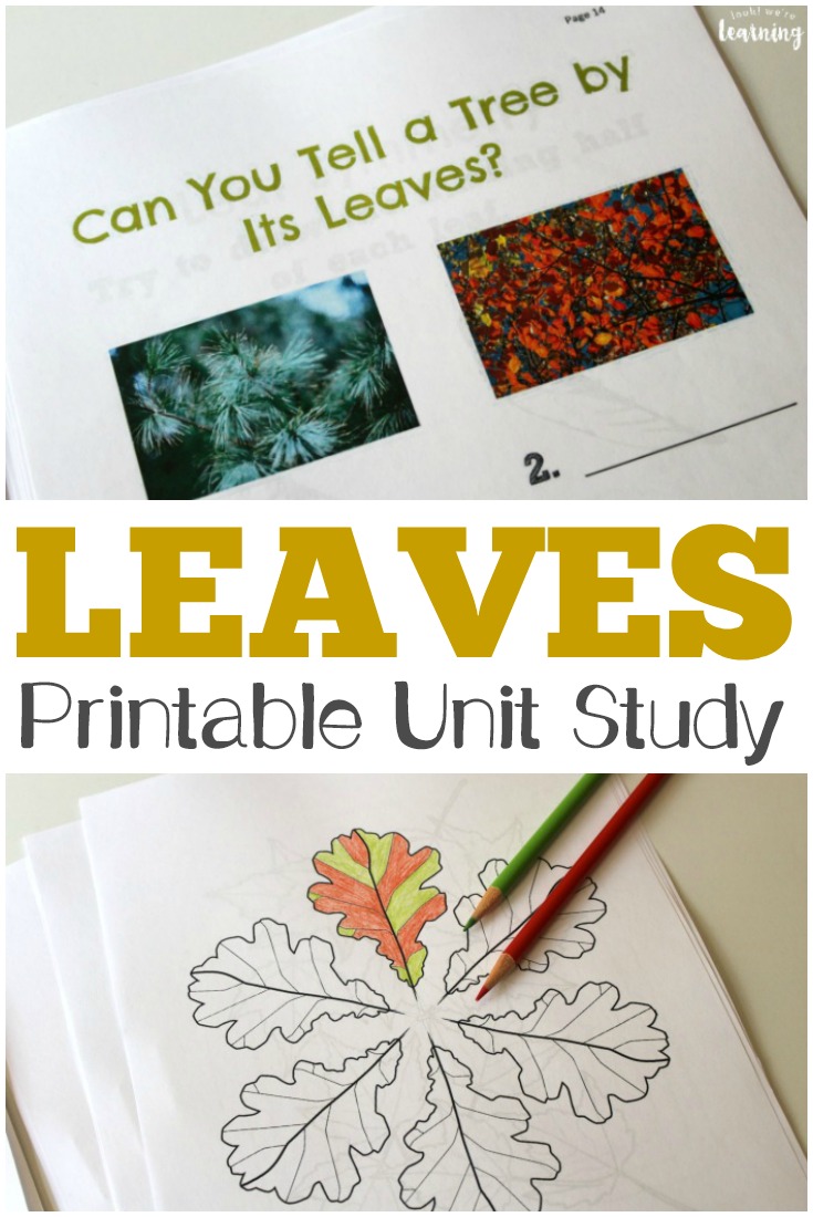 This All About Leaves Printable Unit Study is a perfect way to study the science of fall foliage with kids!