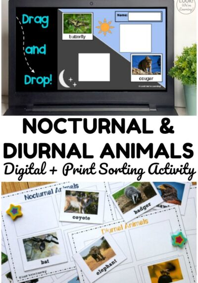 Use the print or digital version of this nocturnal and diurnal animals sorting activity to teach students about animal sleep habits!
