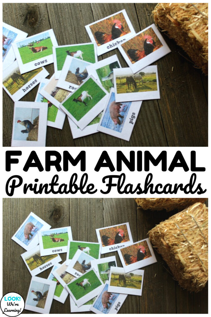 Use these printable farm animal flashcards to help early learners recognize barnyard animals!