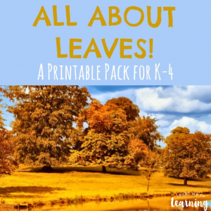 All About Leaves - A Printable Pack for K-4