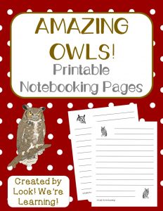 Owl Notebooking Pages for Kids