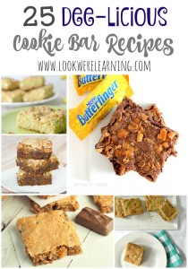 25 Delicious Cookie Bar Recipes @ Look! We're Learning!