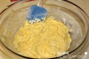 Butterscotch Chocolate Chip Cake Mix Cookie Recipe Ingredients