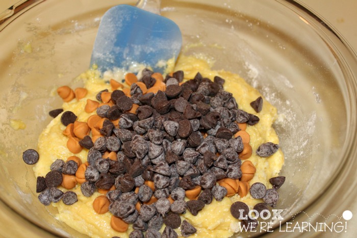 Butterscotch Chocolate Chip Cake Mix Cookie Recipe Mix-Ins