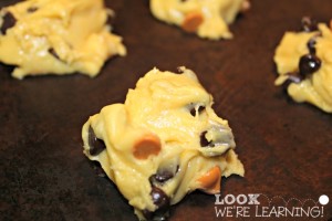 Chocolate Chip Cake Mix Cookie Recipe Instructions