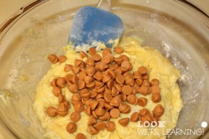 Chocolate Chip Cake Mix Cookie Recipe Mix-Ins