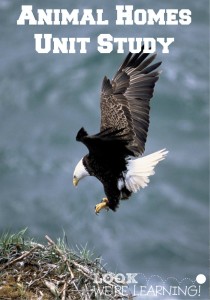 Homeschool Unit Studies: Animal Homes Unit Study