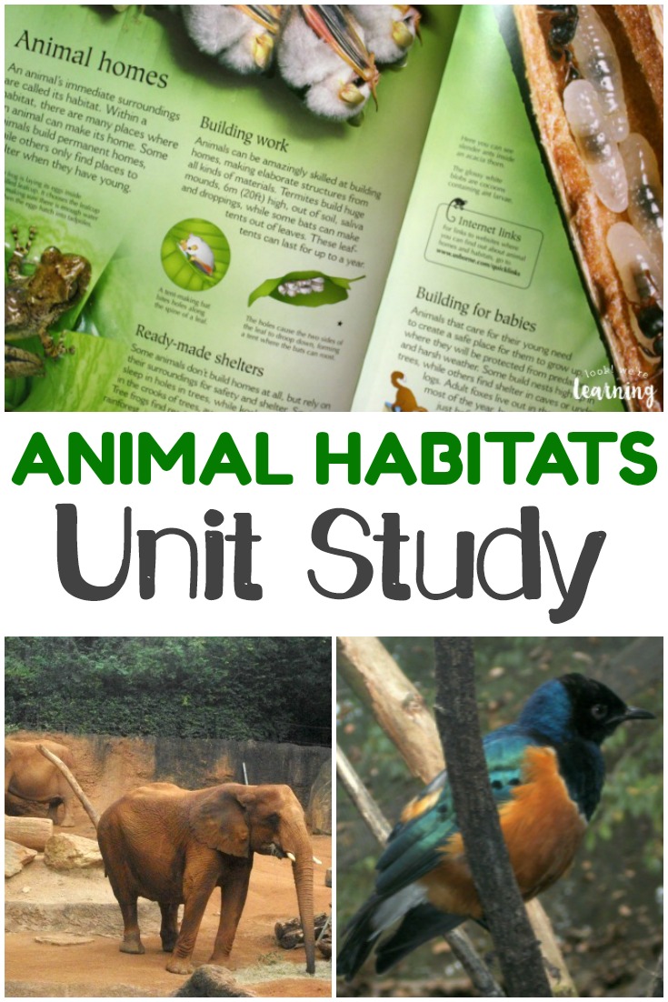 Learn about the different animal habitats on Earth with this animal homes unit study!
