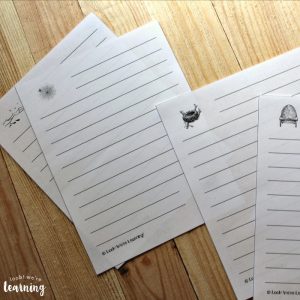 Printable Animal Habitat Notebooking Pages
