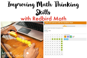 How to Improve Math Thinking Skills with Redbird Math