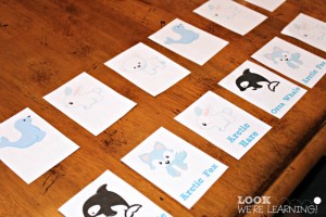 Polar Pattern Activity for First Grade