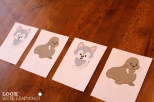 Polar Pattern Matching