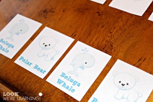 Polar Pattern Matching Activity