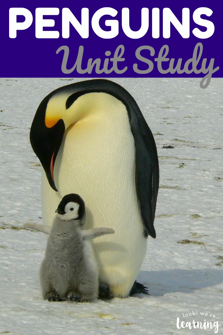 Learn about the cuddly babies and caring parents that make up penguin colonies in this penguins unit study! There are penguin facts for kids, penguin books, penguin crafts, and more to explore!