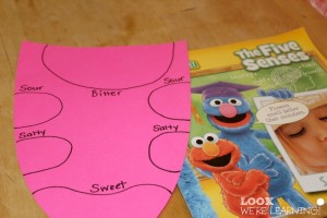 Learning about Taste Buds Activity Prep