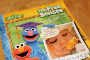 Learning about Taste Buds Book
