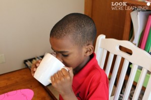 Learning about Taste Buds Tasting Activity