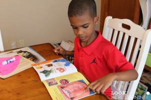 Learning about Taste Buds for 1st Graders