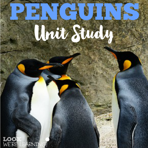 Penguins Homeschool Unit Study