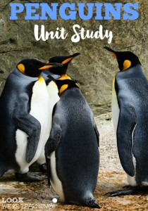 Penguins Unit Study