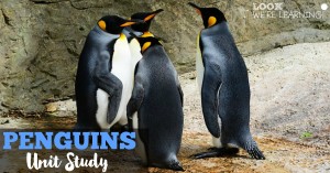 Penguins Unit Study FB