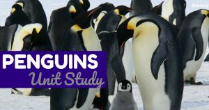 Penguins Unit Study for Kids