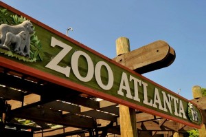 Cheap Field Trips for Homeschoolers in Atlanta