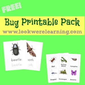 Free Bug Printable Pack