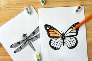 Printable Bug Coloring Sheets for Kids