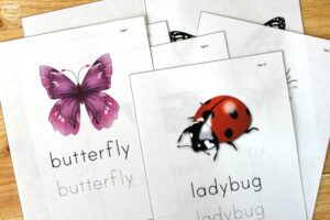 Printable Bug Identification Worksheets