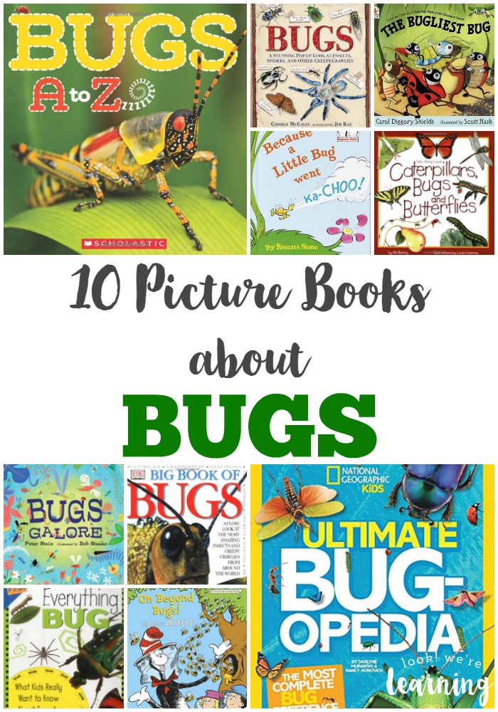 Picture Books about Bugs