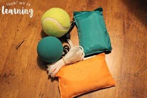 iLS Home Program Accessories