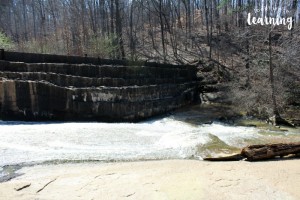 Exploring a Stream with Kids