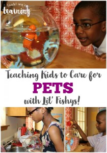 How to Teach Kids to Care for Pets with Fish Toys