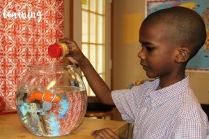 Learning to Care for Pets with Fish Toys