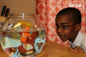 Lil Fishys Fish Toys in Action