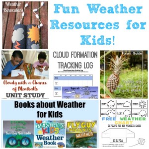 Fun Weather Resources for Kids