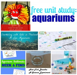 Free Aquariums Unit Study