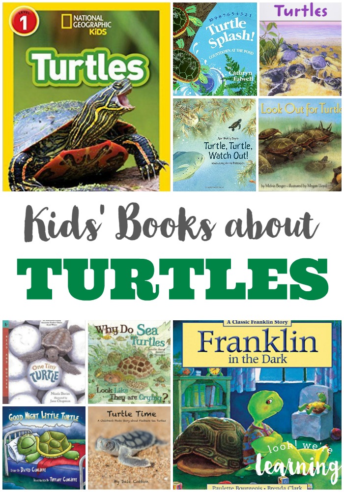 Books about Turtles for Kids