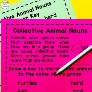 Collective Animal Nouns Activity