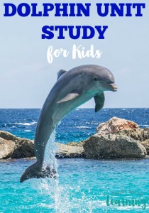 Dolphin Facts for Kids