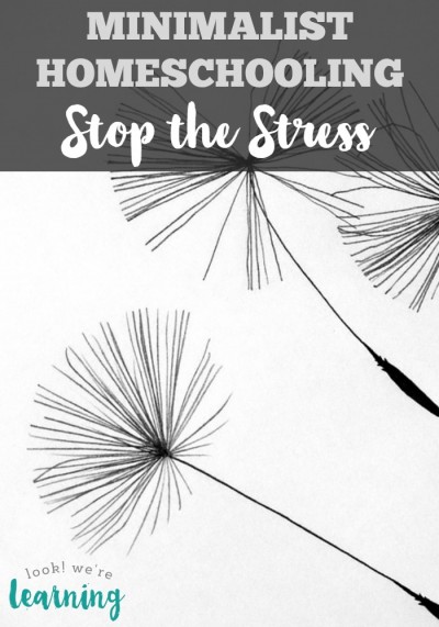 Minimalist Homeschooling - Stop the Stress