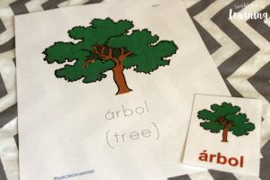 Spanish Alphabet Learning Kit