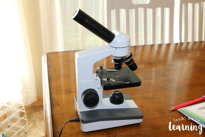 Choosing a Microscope for Middle Schoolers